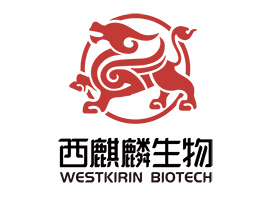 ��������������Ƽ����޹�˾