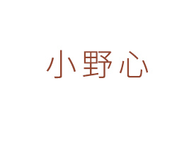 ����СҰ��ʳƷ���޹�˾