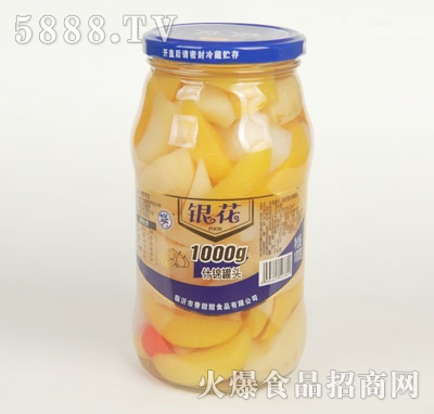 �y��ʲ�\���^1000g