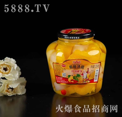 ����Դ�@ʲ�\���^