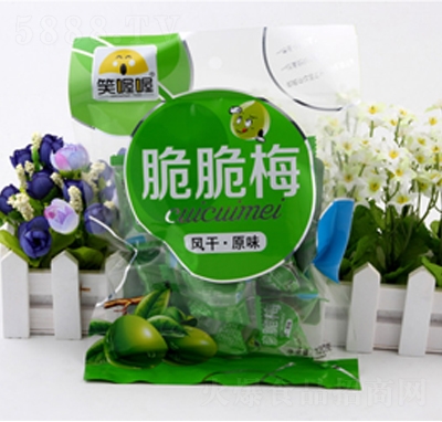 Ц�ิ��÷�L(f��ng)��ԭζ120g