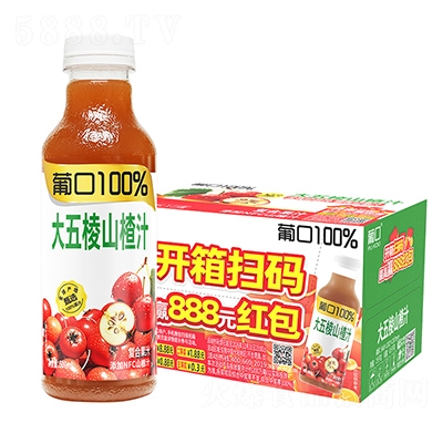 �Ͽ�100%������ɽ�֭���500mlx15ƿ