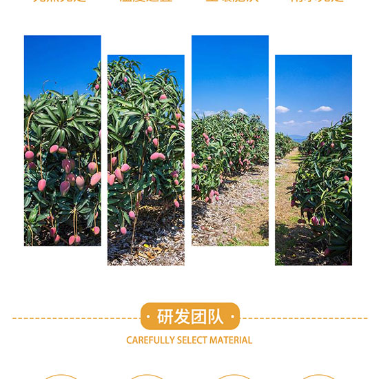 �|�ѹ��@�W��â��֭���_10