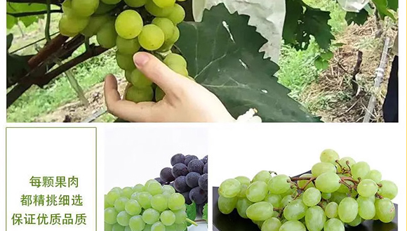 �����ϣ��V�|��ʳƷ������޹�˾-���Ѯ���_08