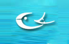 �O�I(y��)�f(xi��)��(hu��)