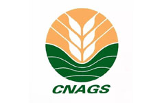 �Ї��Zʳ�ИI(y��)�f(xi��)��(hu��)